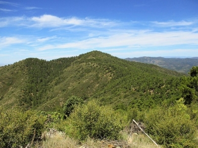 Maverick Mountain