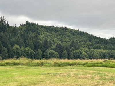 Rangila Hill