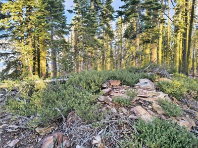 Eureka Ridge, North