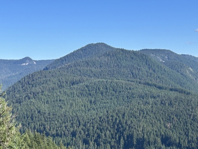 Yellowjacket Point