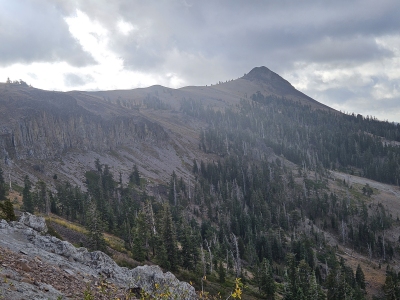 Tinker Knob