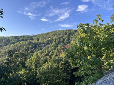Benson Mountain