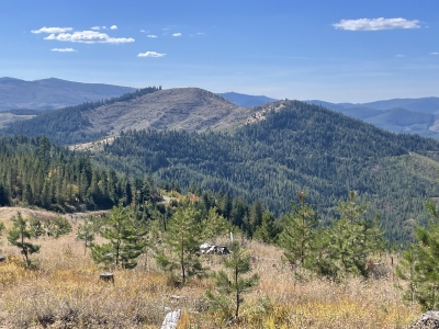 Evergreen Mountain