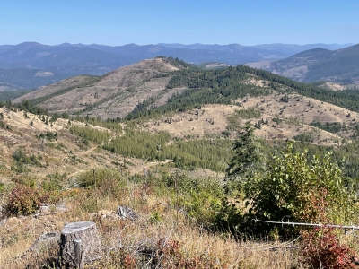Calder Point