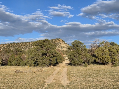 Flat Iron Mesa