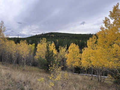 Bull Mountain, Middle