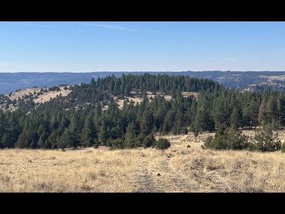 Stalling Butte