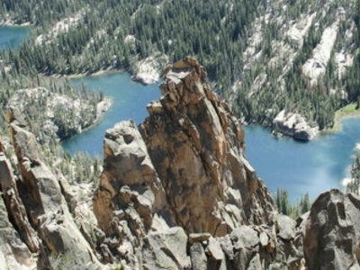 "The Tusk"