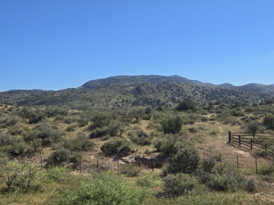 Black Mountain