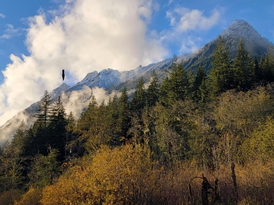 Long Mountain