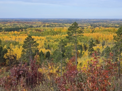 Thorpe Lookout