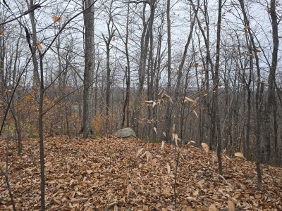Chippewa County HP