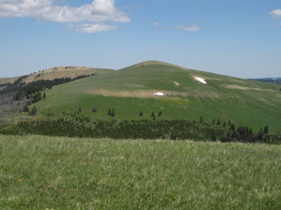 Rooster Hill
