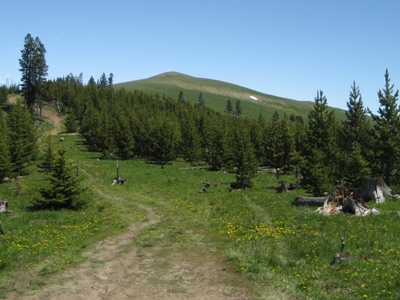 Burnt Mountain