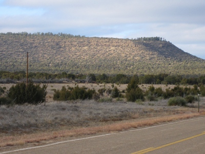 Palma Hill