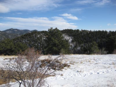 Gregory Hill