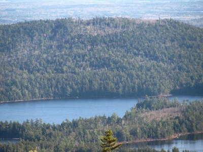 Blackwood Mountain