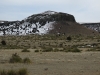 Dalerose Mesa