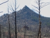 "Yertle Mountain"