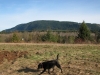 Jordan Ridge