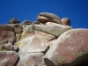 Turtle Rock