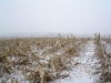 Adams County HP