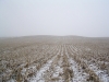 Adams County HP