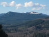 Glenoma Benchmark