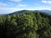Thompson Peak
