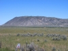 Rex Peak