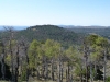Buck Knoll