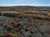 Pu'u Loa