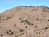 Robinson, Mount