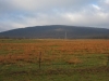 Buford Mountain
