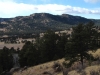 Beasley Hills