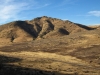 Town Mountain