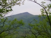 McAfee Knob