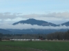 Washington, Mount