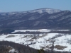 Griffith Knob