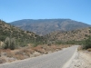 Alamo Mountain