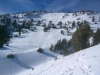 Tamarack Peak