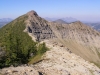 Forster Mountain
