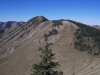 Jackson Ridge