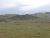 Hilo Hill