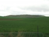 Pearl Hill