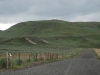 Mary Jane Hill