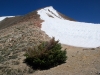 "Gudy Peak"