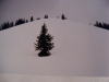 Oliver Peak