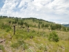 Goman Peak