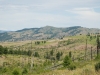 Bear Mountain